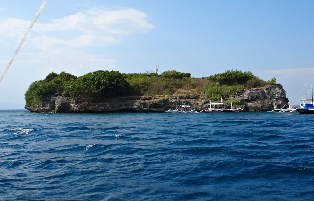 Tree Rings Beach Resort at Pescador Island